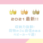 収納力抜群!荷物カゴに自信のあるベビーカー7選!